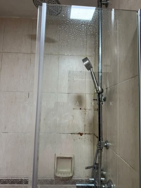 Eastpoint Green, 1 Simei Street 3, Room Rental, 120 sqft, Condominium For Rent, by Cynthia Kok, 500119354 - Bathroom - PropertyGuru.com.sg