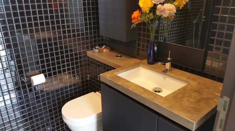 Skysuites @ Anson, 8 Enggor Street, 1 Bedroom, 398 sqft, Condominium For Sale, by Hazel Chen, 500119427 - Bathroom - PropertyGuru.com.sg