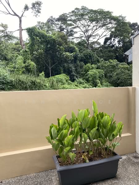Springleaf Lane, , 3 Bedrooms, 2,560 sqft, Semi-Detached House For Sale, by Tan Terence, 500119681 - PropertyGuru.com.sg