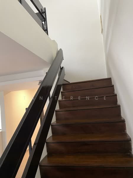 Springleaf Lane, , 3 Bedrooms, 2,560 sqft, Semi-Detached House For Sale, by Tan Terence, 500119681 - PropertyGuru.com.sg