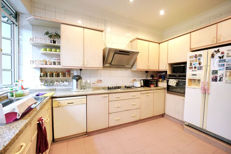Robin Lane Apartment, , 4 Bedrooms, 2,551 sqft, Apartment For Sale, by Ethan Tan, 500120010 - Kitchen - PropertyGuru.com.sg