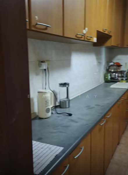 Angsana @21, 21 Lorong Tahar, Room Rental, 80 sqft, Apartment For Rent, by Elaine Tay, 500120125 - Kitchen - PropertyGuru.com.sg