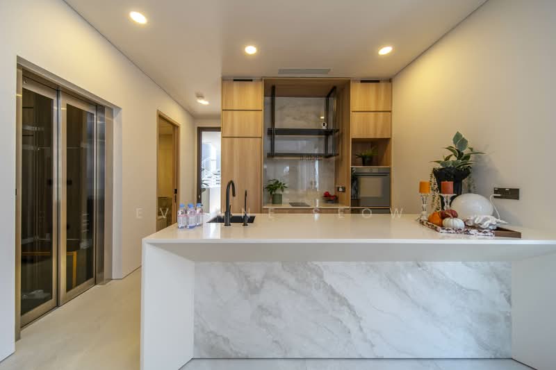 FREEHOLD Brand NEW Corner Terrace! Prime District 11! Move In Immediately!, , 5 Bedrooms, 7,898 sqft, Corner Terrace For Sale, by Evonne Seow, 500120158 - Kitchen - PropertyGuru.com.sg