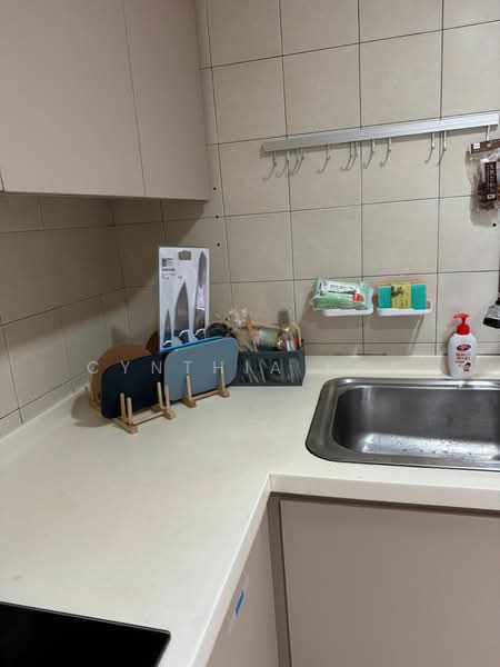 Carissa Park Condo, 2 Flora Drive, 6 Bedrooms, 1,303 sqft, Condominium For Rent, by Cynthia Kok, 500120159 - Kitchen - PropertyGuru.com.sg