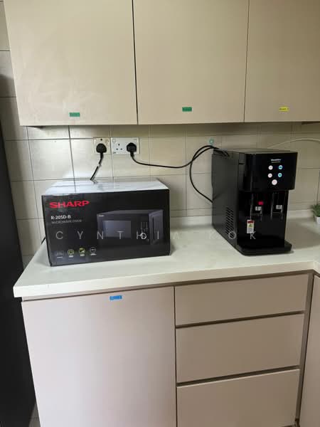 Carissa Park Condo, 2 Flora Drive, 6 Bedrooms, 1,303 sqft, Condominium For Rent, by Cynthia Kok, 500120159 - Kitchen - PropertyGuru.com.sg