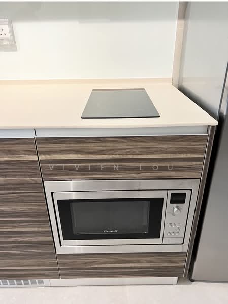Commonwealth Towers, 230 Commonwealth Avenue, 1 Bedroom, 441 sqft, Condominium For Rent, by Vivien Lou, 500120198 - Kitchen - PropertyGuru.com.sg