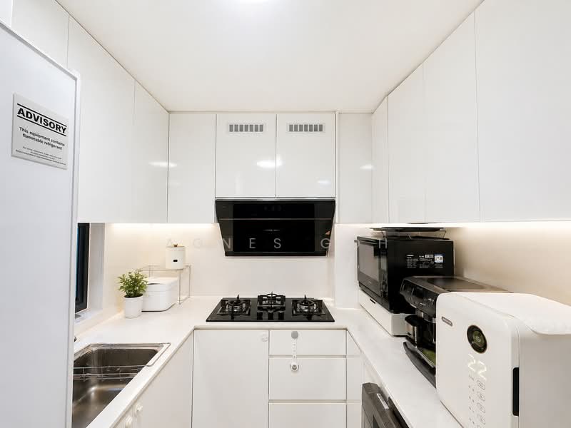 Lake Grande, 2 Jurong Lake Link, 3 Bedrooms, 979 sqft, Condominium For Sale, by Agnes Goh, 500120345 - Kitchen - PropertyGuru.com.sg