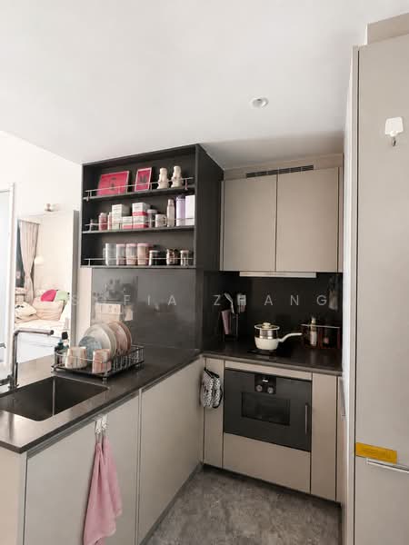 Riviere, 1 Jiak Kim Street, 1 Bedroom, 560 sqft, Condominium For Sale, by Sofia Zhang, 500120541 - Kitchen - PropertyGuru.com.sg