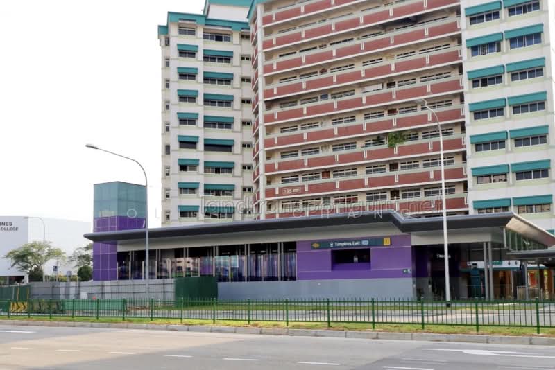 451 Tampines Street 42, 451 Tampines Street 42, Room Rental, 120 sqft, HDB Flat For Rent, by Olivia Chang, 500120557 - Tampines East MRT - PropertyGuru.com.sg