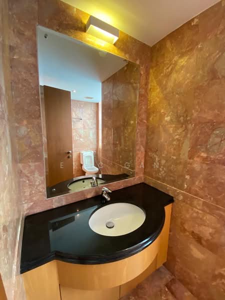 Orchard Scotts, 3 Anthony Road, 4 Bedrooms, 2,680 sqft, Condominium For Rent, by Eric Gan, 500120631 - Common Bathroom - PropertyGuru.com.sg