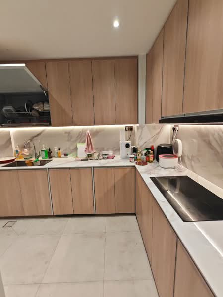 24A Petain Road, Petain Road, Room Rental, 200 sqft, Conservation House For Rent, by Steve Voon, 500120659 - Kitchen - PropertyGuru.com.sg