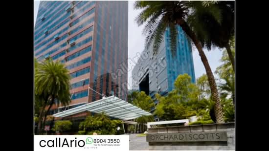 Orchard Scotts, 3 Anthony Road, 1 Bedroom, 764 sqft, Condominium For Rent, by Ario Kusumo, 500120813 - PropertyGuru.com.sg
