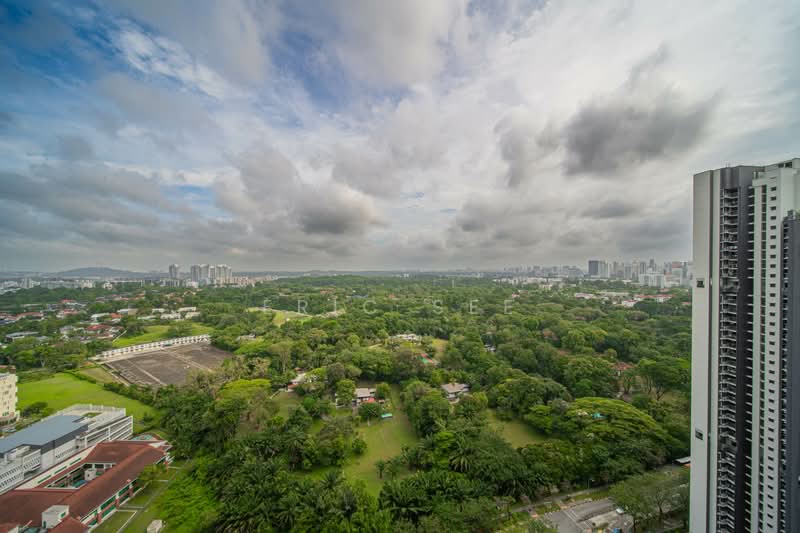 View from Living Room