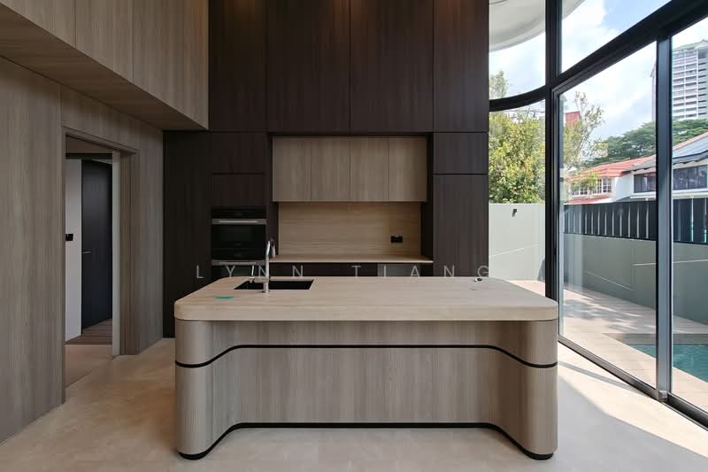 Brand New Corner Terrace 1km to Opera Estate Pri Sch w/ Pool & Lift, Jalan Bintang Tiga/ Siglap Drive/ Opera Estate, East Coast / Marine Parade, 5 Bedrooms, 4,600 sqft, Corner Terrace For Sale, by Lynn Tiang, 500121424 - Kitchen - PropertyGuru.com.sg