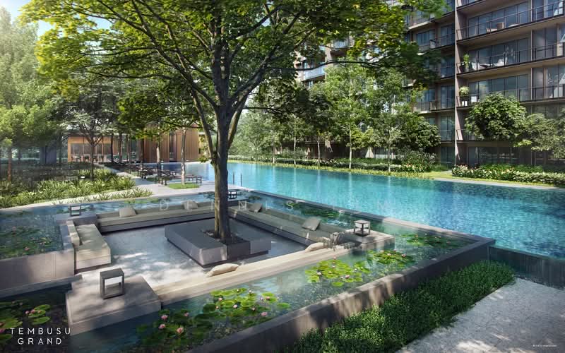 Tembusu Grand, 94 Jalan Tembusu, 1 Bedroom, 527 sqft, Condominium For Sale, by Dennis Lim, 500121443 - Pool - PropertyGuru.com.sg