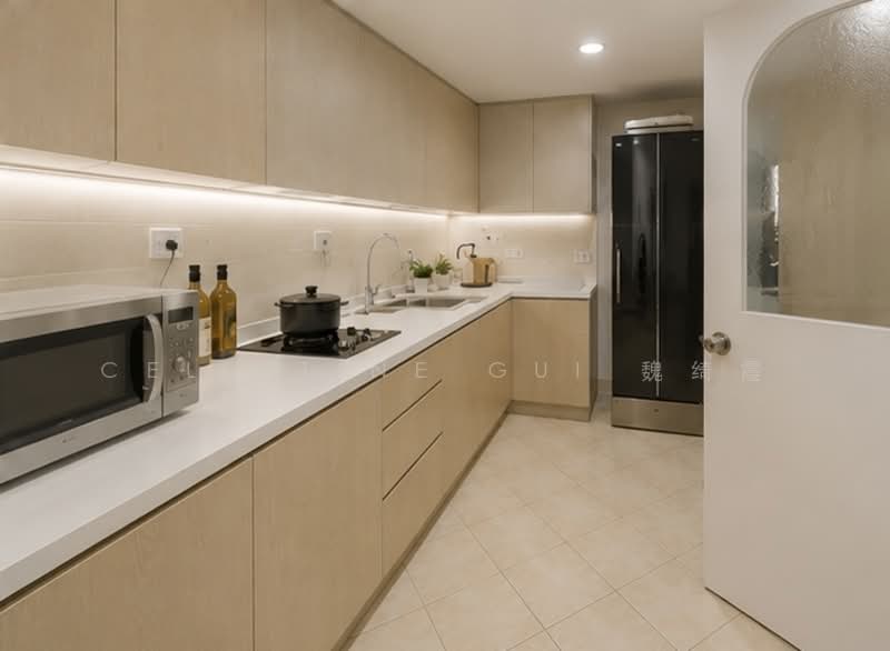 Cairnhill Plaza, 53 Cairnhill Road, 3 Bedrooms, 2,852 sqft, Apartment For Sale, by Celestine Gui 魏绮霞, 500121489 - Kitchen - PropertyGuru.com.sg