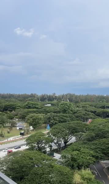 The Line@Tanjong Rhu, 6 Tanjong Rhu Road, 1 Bedroom, 420 sqft, Condominium For Rent, by Mavis Leng, 500121558 - Exterior - PropertyGuru.com.sg