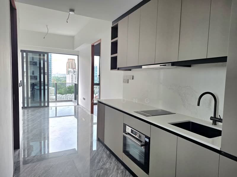 Grange 1866, 74 Grange Rd, 2 Bedrooms, 710 sqft, Condominium For Sale, by Val Ong, 500121652 - Kitchen - PropertyGuru.com.sg