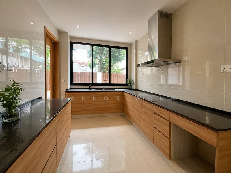 C.H.E.A.P Brand New 3.5 Storey Detached House in D15, Kallang / Eunos / Siglap / Kembangan / Dakota / Ubi / Kaki Bukit / Geylang / Aljunied / Frankel / Upper East Coast / Eunos / Paya Lebar, 9 Bedrooms, 8,702 sqft, Detached House For Sale, by Shannon Wong, 500121799 - Kitchen - PropertyGuru.com.sg