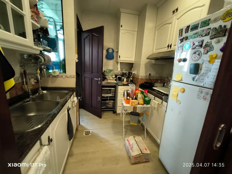 Tanglin Regency, 383 Tanglin Road, 3 Bedrooms, 1,044 sqft, Condominium For Rent, by Ben XIA 夏天鹏, 500122202 - Kitchen - PropertyGuru.com.sg