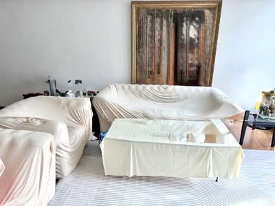 For Sale - D13 Freehold Large Terrace Land 2070sqft approx