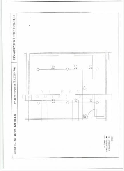 The Mezzo, 205 Balestier Road, 581 sqft, Other Retail For Rent, by Yi Ran (Louis) Zhang, 500122402 - CommercialGuru.com.sg