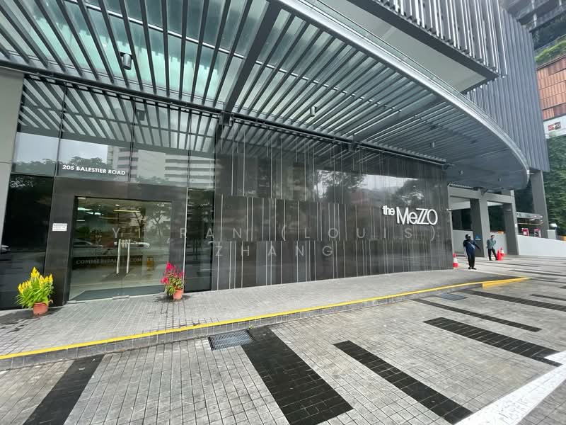 The Mezzo, 205 Balestier Road, 581 sqft, Other Retail For Rent, by Yi Ran (Louis) Zhang, 500122402 - Exterior - CommercialGuru.com.sg