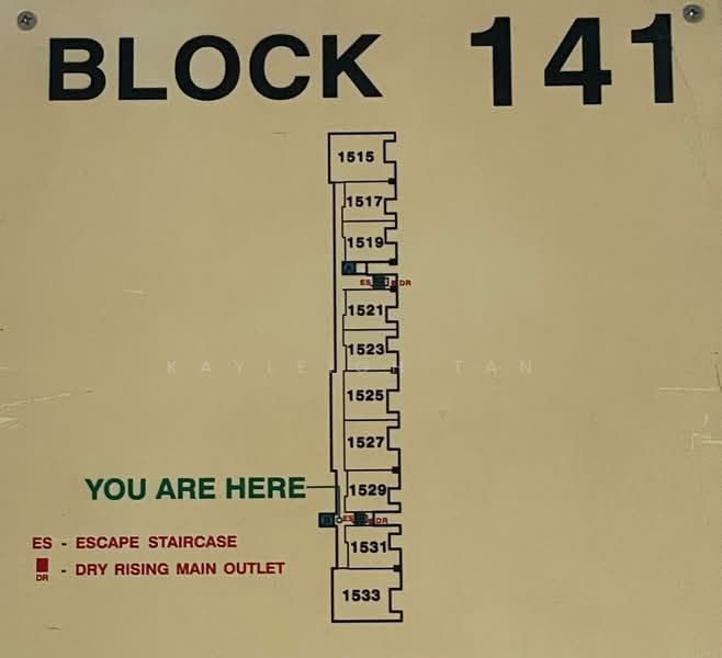 141 Bedok Reservoir Road, 141 Bedok Reservoir Road, 3 Bedrooms, 904 sqft, HDB Flat For Sale, by Kayleigh Tan, 500122514 - PropertyGuru.com.sg