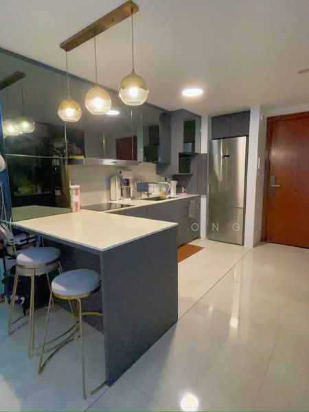 River Place, 60 Havelock Road, 2 Bedrooms, 1,281 sqft, Condominium For Sale, by Raynne Ong, 500122526 - Kitchen - PropertyGuru.com.sg