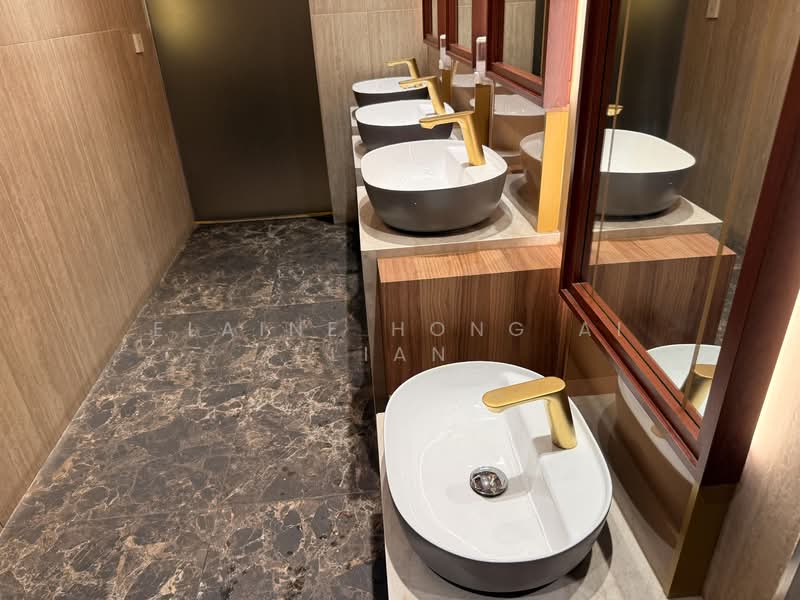 The Adelphi, 1 Coleman Street, City Hall / Clarke Quay, 1,716 sqft, Office For Rent, by Elaine Hong Ai Lian, 500122552 - Bathroom - CommercialGuru.com.sg