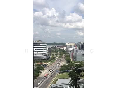 For Sale - SKY GREEN.