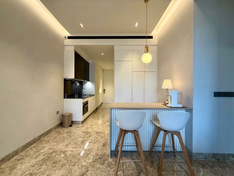 Martin Modern, 10 Martin Place, 2 Bedrooms, 764 sqft, Apartment For Sale, by Sergius Seah Weiming, 500122878 - Dry kitchen  - PropertyGuru.com.sg