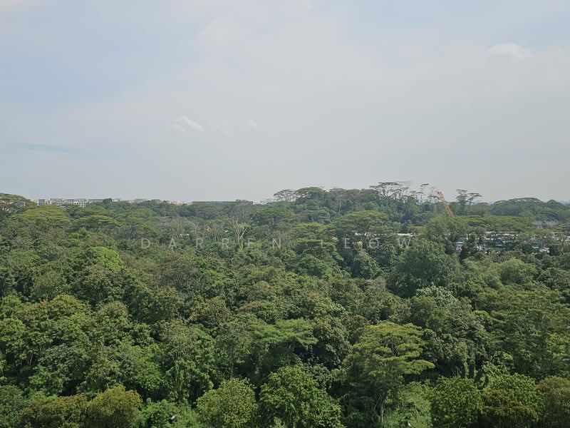 Unblocked Greenery View