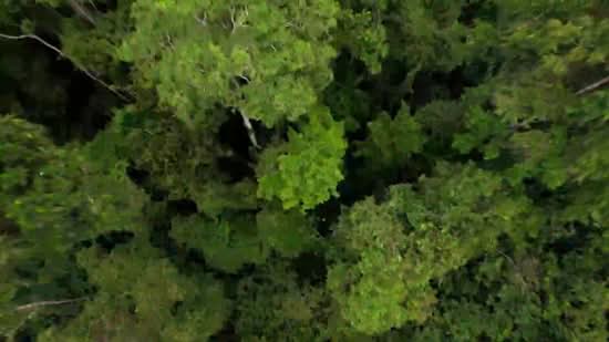 The Sen, De Souza Avenue, 2 Bedrooms, 678 sqft, Condominium For Sale, by Lynn Loh, 500123521 - PropertyGuru.com.sg