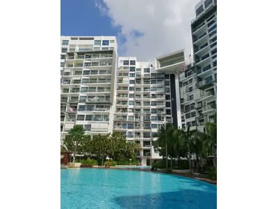 For Rent - Skies Miltonia