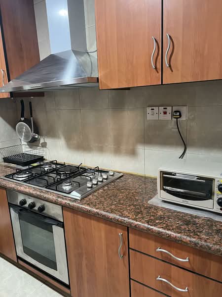 Landbay Condo, 3 Jalan Hajijah, 3 Bedrooms, 1,238 sqft, Condominium For Rent, by Fun Sook (Amy), 500124043 - Kitchen - PropertyGuru.com.sg