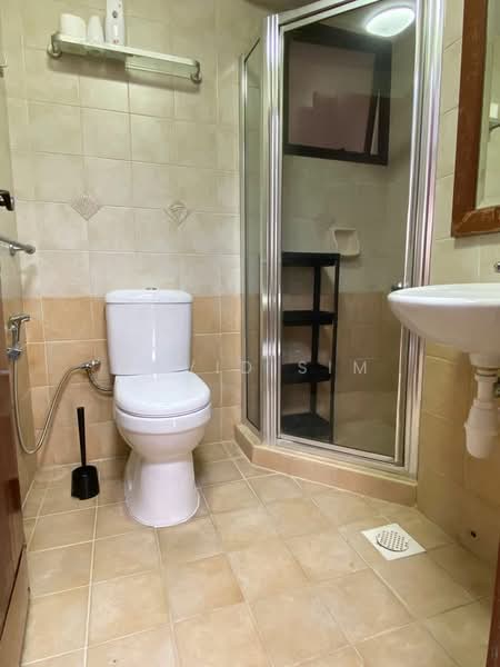 The Mayfair, 3 Jurong East Street 32, Room Rental, 100 sqft, Condominium For Rent, by David Sim, 500124197 - Bathroom - PropertyGuru.com.sg