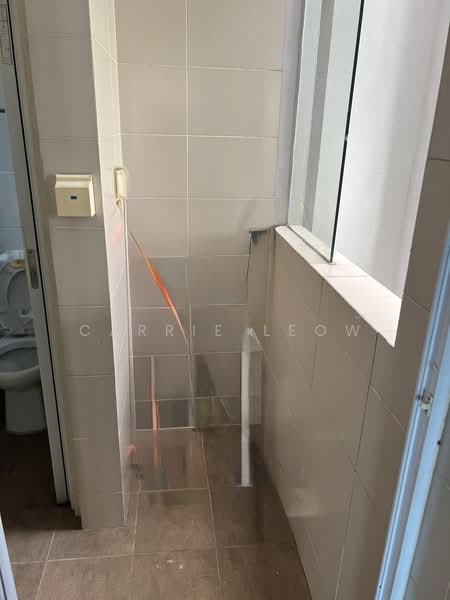 Prestige Heights, 348 Balestier Road, 3 Bedrooms, 1,076 sqft, Apartment For Rent, by Carrie Leow, 500124229 - Bathroom - PropertyGuru.com.sg