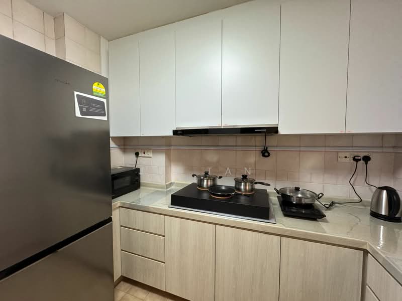 Dover Parkview, 30 Dover Rise, Room Rental, 100 sqft, Condominium For Rent, by Jim Tan, 500124366 - Kitchen - PropertyGuru.com.sg
