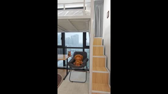 The Trilinq, 28 Jalan Lempeng, Room Rental, 110 sqft, Condominium For Rent, by Charles Ong, 500124421 - PropertyGuru.com.sg