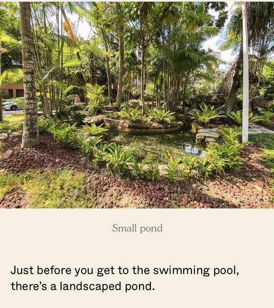 Maple Woods, 993 Bukit Timah Road, 4 Bedrooms, 1,787 sqft, Condominium For Rent, by Lydia Lim, 500124938 - Garden - PropertyGuru.com.sg