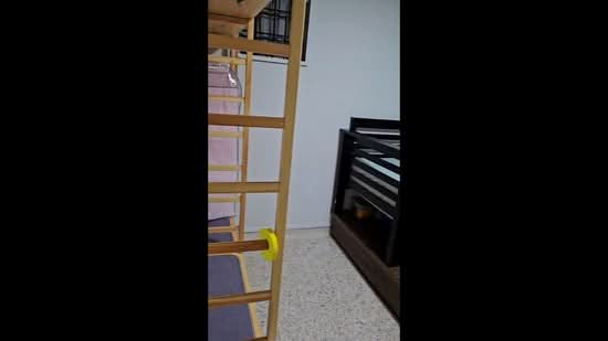207 Tampines Street 21, 207 Tampines Street 21, Room Rental, 120 sqft, HDB Flat For Rent, by Zaida Sidek, 500124967 - PropertyGuru.com.sg