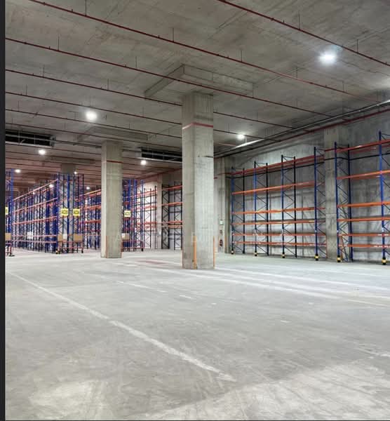 🌟 Benoi Air Con Warehouse | Ramp up | Very High Ceiling | Heavy loading | Exclusive loading bays, Benoi, 47,900 sqft, Warehouse For Rent, by Rachel ng, 500125177 - Interior - CommercialGuru.com.sg
