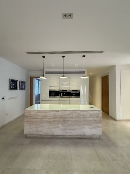 Trilight Freehold Newton District 11 Sky Mansion Penthouse Urgent Sale, , 4 Bedrooms, 5,802 sqft, Condominium For Sale, by Paul Tan, 500125257 - Kitchen - PropertyGuru.com.sg