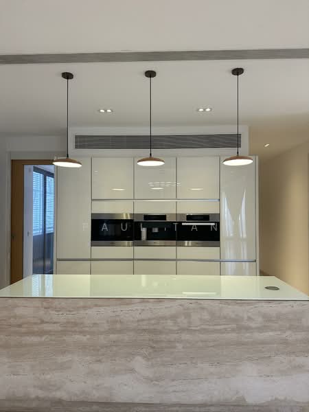 Trilight Freehold Newton District 11 Sky Mansion Penthouse Urgent Sale, , 4 Bedrooms, 5,802 sqft, Condominium For Sale, by Paul Tan, 500125257 - Kitchen - PropertyGuru.com.sg