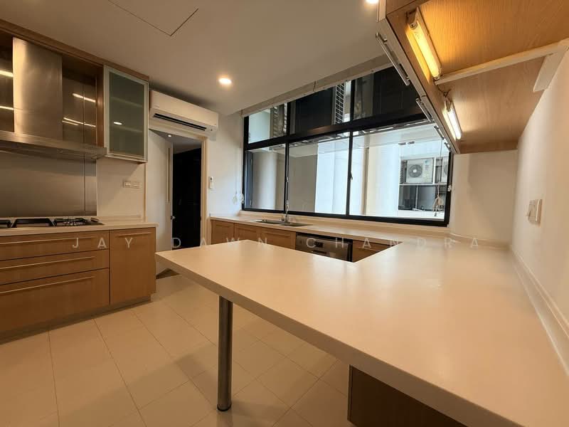 The Colonnade, 82 Grange Road, 3 Bedrooms, 3,617 sqft, Condominium For Rent, by Jay Dawn Chandra, 500125375 - Kitchen - PropertyGuru.com.sg