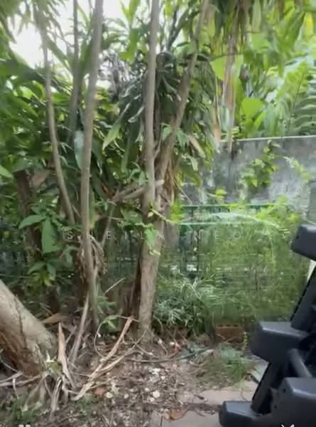 Picardy Gardens, 2 Jalan Pari Burong, 4 Bedrooms, 4,200 sqft, Semi-Detached House For Sale, by Sheila Neo, 500125603 - PropertyGuru.com.sg