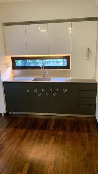 Hijauan, 63 Cavenagh Road, 2 Bedrooms, 1,001 sqft, Apartment For Sale, by Andrew Ong, 500125671 - Kitchen - PropertyGuru.com.sg