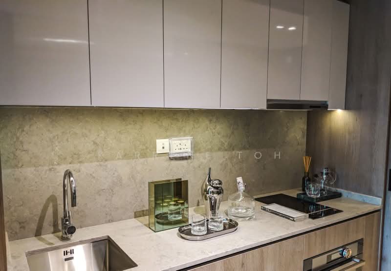 Avenue South Residence, , 1 Bedroom, 527 sqft, Condominium For Sale, by Karrene Toh, 500125992 - PropertyGuru.com.sg