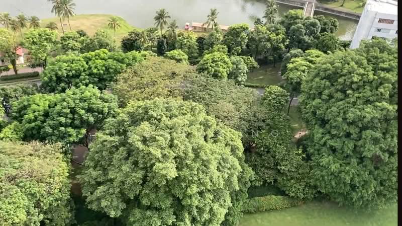 Kallang Riverside, 51 Kampong Bugis, 2 Bedrooms, 1,001 sqft, Condominium For Rent, by Jessica Ng, 500126219 - Exterior - PropertyGuru.com.sg